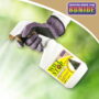 Wilt Stop™ Xmas Tree & Wreath – Bonide – RTU Spray – 16 oz